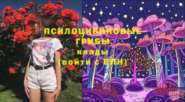 шишки Балахна