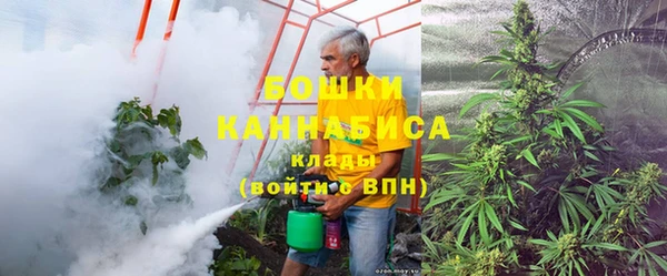 шишки Балахна