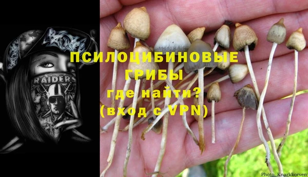 a pvp Баксан