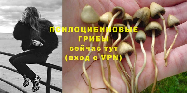 шишки Балахна